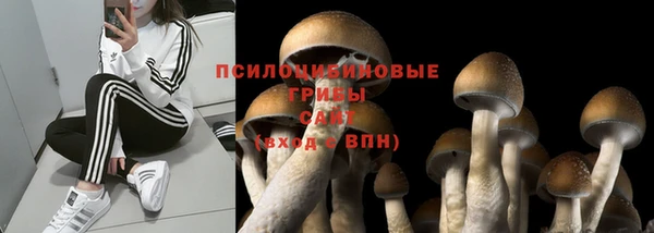 MESCALINE Протвино